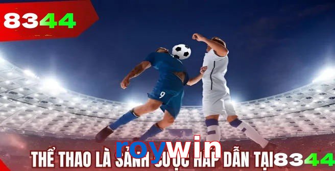 Thể thao roywin tường thuật trực tiếp kèm thống kê chuẩn xác