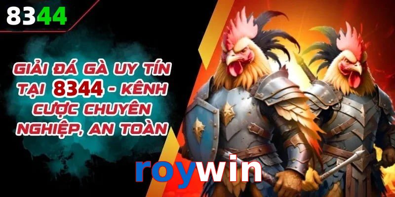 Đơn vị đồng hành cùng đá gà roywin